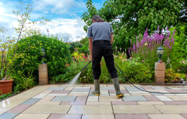 Best Animal Enclosure Cleaning  in Bear Creek, AK